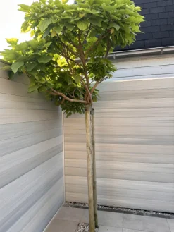 Clearance C-Wood Schutting composiet co-extrusie Garda beige met blank aluminium kader (180 x 90 cm)