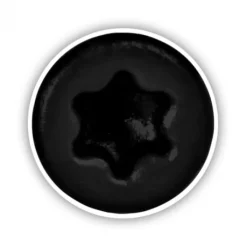 Discount Deckwise Schroeven RVS platte kop T15 - Zwart (100 stuks)