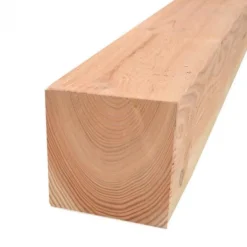 Discount Elephant Schutting set Douglas Finch recht 14L rvs geschaafd (9,45 meter)