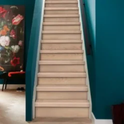 Hot CanDo Overzettrede met neus - Laminaat - Licht eiken