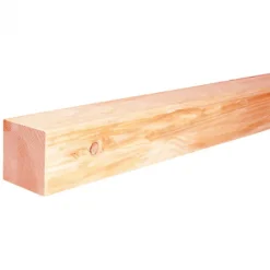 Discount Elephant Paal Douglas 90 x 90 mm gezaagd