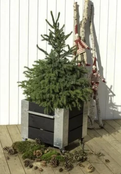 Online Plus Danmark Plantenbak vuren geimpregneerd - Cubic zwart 46 x 50 x 45 cm