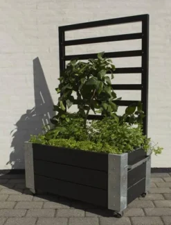 Hot Plus Danmark Plantenbak vuren geïmpregneerd - Cubic roomdivider zwart 87 x 50 x 130 cm