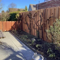 Outlet Elephant Schutting hardhout kempas Timber recht 14L (180 x 180 cm) v-groef schermdikte 3,9 cm