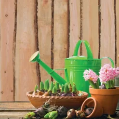 Elephant Schutting schaaldelen Douglas Country - 10L (180 x 180 cm) schermdikte 5,4 cm